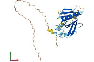 AlphaFold protein structure predicition of Human Recombinant TPRG1L Protein, UniprotID Q5T0D9