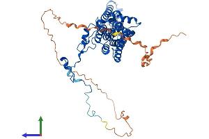 Protein Structure (PS) image for Bestrophin 2 (BEST2) (AA 1-508) protein (His tag) (ABIN7558566)