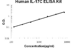 IL17C ELISA 试剂盒