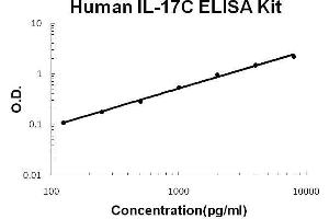 Human IL-17C PicoKine ELISA Kit standard curve (IL17C ELISA 试剂盒)