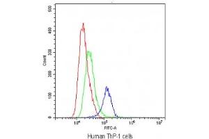 Flow cytometry testing of human ThP-1 cells with TLR1 antibody at 1ug/10^6 cells (blocked with goat sera) (TLR1 抗体)
