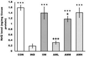 Amentoflavone inhibits the oxidative stress and activates the Nrf2/HO-1 cascade of the rats’ gastric mucosa. (NRF2 ELISA 试剂盒)