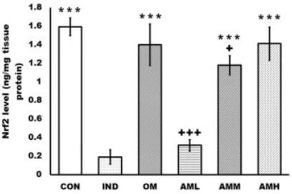 NRF2 ELISA 试剂盒