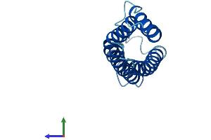 AlphaFold protein structure predicition of Human Recombinant CNIH4 Protein, UniprotID Q9P003