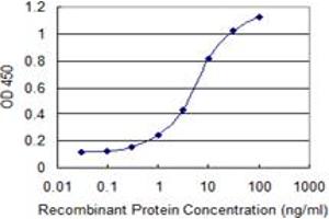 Detection limit for recombinant GST tagged MRPS36 is 0. (MRPS36 抗体  (AA 1-103))
