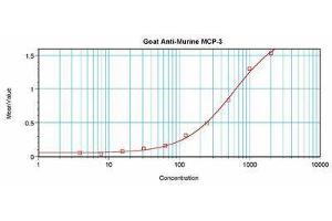 Image no. 2 for anti-Chemokine (C-C Motif) Ligand 7 (CCL7) antibody (ABIN465455) (CCL7 抗体)