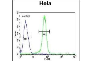 C15orf2 Antibody (Center) (ABIN6244208 and ABIN6579051) flow cytometric analysis of Hela cells (right histogram) compared to a negative control cell (left histogram). (NPAP1 抗体  (AA 348-377))