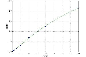 Insulin Receptor Substrate 2 (IRS2) ELISA Kit