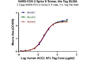 Immobilized SARS-COV-2 Spike S Trimer at 0.