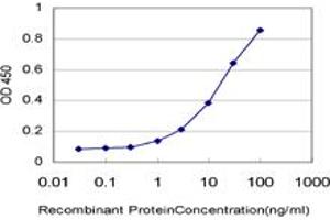 Detection limit for recombinant GST tagged LDB1 is approximately 1ng/ml as a capture antibody. (LIM Domain Binding 1 Protein 抗体  (AA 1-110))