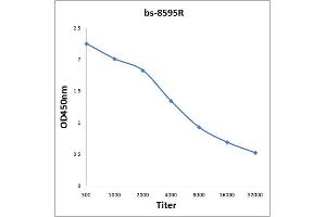 Antigen: 2 µg/100 µL  Primary: Antiserum, 1:500, 1:1000, 1:2000, 1:4000, 1:8000, 1:16000, 1:32000;  Secondary: HRP conjugated Rabbit Anti-Goat IgG at 1: 5000;  TMB staining Read the data in Microplate Reader by 450nm. (C9ORF72 抗体  (AA 391-481))