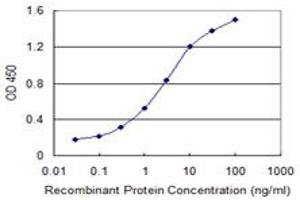 Detection limit for recombinant GST tagged OSTF1 is 0. (OSTF1 抗体  (AA 1-217))