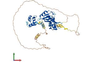 Protein Structure (PS) image for CUGBP, Elav-Like Family Member 3 (CELF3) (AA 1-465) protein (His tag) (ABIN7559379)