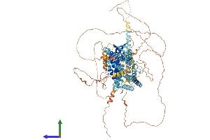 AlphaFold protein structure predicition of Human Recombinant SNX19 Protein, UniprotID Q92543