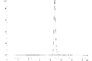 Size-exclusion chromatography-High Pressure Liquid Chromatography (SEC-HPLC) image for Leucine-Rich alpha-2 Glycoprotein 1 (LRG1) (AA 33-342) protein (His tag) (ABIN7275203)
