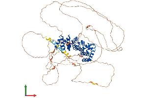 Protein Structure (PS) image for Armadillo Repeat Containing, X-Linked 2 (ARMCX2) (AA 1-784) protein (His tag) (ABIN7557900)