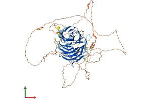 Protein Structure (PS) image for Denticleless E3 Ubiquitin Protein Ligase Homolog (DTL) (AA 1-729) protein (His tag) (ABIN7563673)