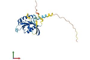 AlphaFold protein structure predicition of Human Recombinant RABL2A Protein, UniprotID Q9UBK7