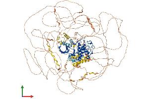 Protein Structure (PS) image for Cdc2-Related Kinase, Arginine/serine-Rich (CRKRS) (AA 1-1490) protein (His tag) (ABIN7553302)