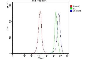 Flow Cytometry analysis of JK cells using anti-SNRPD2 antibody (ABIN7598963).