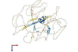 PHC2 Protein (AA 1-858) (His tag)