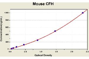 Complement Factor H (CFH) ELISA Kit