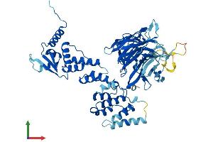 Protein Structure (PS) image for Calicin (CCIN) (AA 1-588) protein (His tag) (ABIN7559261)