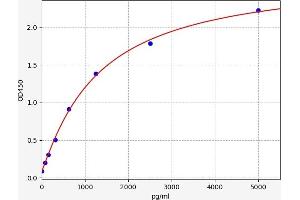 PFN1 ELISA 试剂盒