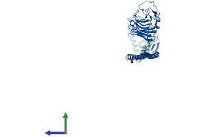 Protein Structure (PS) image for Tripartite Motif Containing 21 (TRIM21) (AA 1-475) protein (His tag) (ABIN7555262)