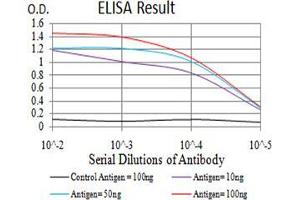 Black line: Control Antigen (100 ng);Purple line: Antigen (10ng); Blue line: Antigen (50 ng); Red line:Antigen (100 ng) (TRAF2 抗体  (AA 39-188))