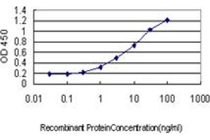 Detection limit for recombinant GST tagged DCTN2 is approximately 0. (Dynamitin 抗体  (AA 302-401))