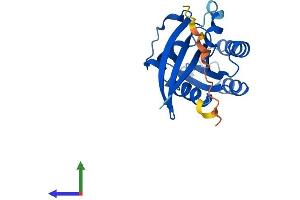 Protein Structure (PS) image for RAB22A, Member RAS Oncogene Family (RAB22A) (AA 1-194) protein (His tag) (ABIN7551252)
