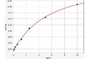 Typical standard curve (HSD11B1 ELISA 试剂盒)