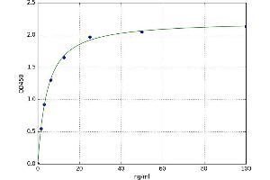 A typical standard curve