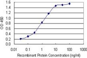 Detection limit for recombinant GST tagged PGRMC1 is 0. (PGRMC1 抗体  (AA 96-195))