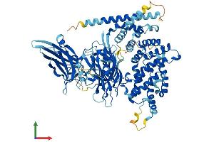 Protein Structure (PS) image for RAS Protein Activator Like 1 (GAP1 Like) (RASAL1) (AA 1-804) protein (His tag) (ABIN7551185)