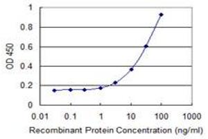 Detection limit for recombinant GST tagged ATXN7L1 is 1 ng/ml as a capture antibody. (ATXN7L1 抗体  (AA 1-146))