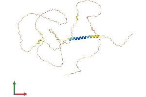 AlphaFold protein structure predicition of Human Recombinant LAX1 Protein, UniprotID Q8IWV1