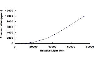 ELISA image for Myeloperoxidase (MPO) CLIA Kit (ABIN492080)