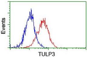 Flow cytometric Analysis of Hela cells, using anti-TULP3 antibody (ABIN2455526), (Red), compared to a nonspecific negative control antibody, (Blue). (TULP3 抗体)