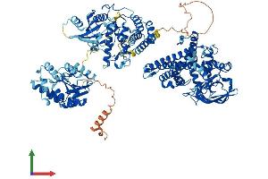 Protein Structure (PS) image for Acyl-CoA Dehydrogenase Family, Member 10 (ACAD10) (AA 1-1059) protein (His tag) (ABIN7551801)