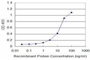 Detection limit for recombinant GST tagged SEPT11 is approximately 1ng/ml as a capture antibody. (Septin 11 抗体  (AA 71-180))