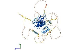 AlphaFold protein structure predicition of Mouse Recombinant Brd3 Protein, UniprotID Q8K2F0