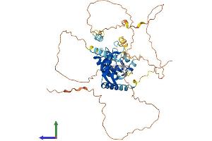 Protein Structure (PS) image for HMG Box-Containing Protein 1 (HBP1) (AA 1-514) protein (His tag) (ABIN7548276)