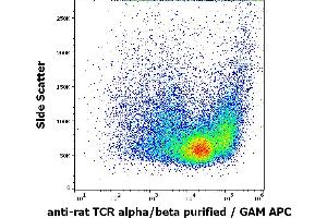 Flow cytometry surface staining pattern of rat thymocyte suspension stained using anti-rat TCR alpha/beta (R73) purified antibody (concentration in sample 1. (TCR alpha/beta 抗体)