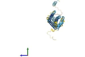 AlphaFold protein structure predicition of Mouse Recombinant Stx19 Protein, UniprotID Q8R1Q0