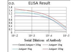 Black line: Control Antigen (100 ng), Purple line: Antigen(10 ng), Blue line: Antigen (50 ng), Red line: Antigen (100 ng), (ACP5 抗体  (AA 221-325))