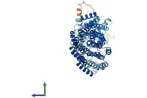 Protein Structure (PS) image for Anaphase Promoting Complex Subunit 5 (ANAPC5) (AA 1-740) protein (His tag) (ABIN7564427)