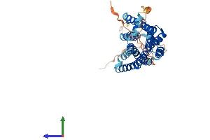 AlphaFold protein structure predicition of Human Recombinant BRS3 Protein, UniprotID P32247