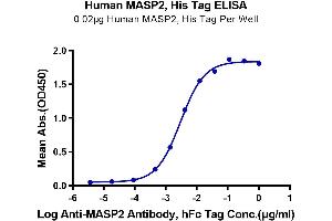 ELISA image for Mannan-Binding Lectin serine Peptidase 2 (MASP2) (AA 288-686) protein (His tag) (ABIN7275292)